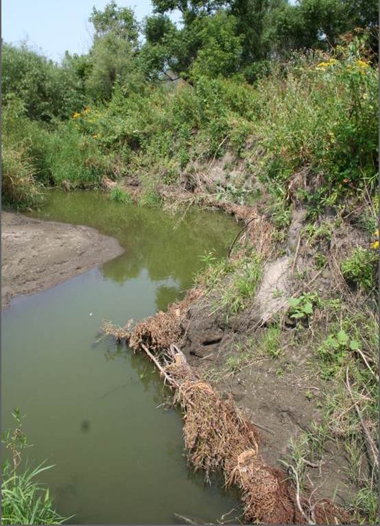 "Before" photo of eroded river bank