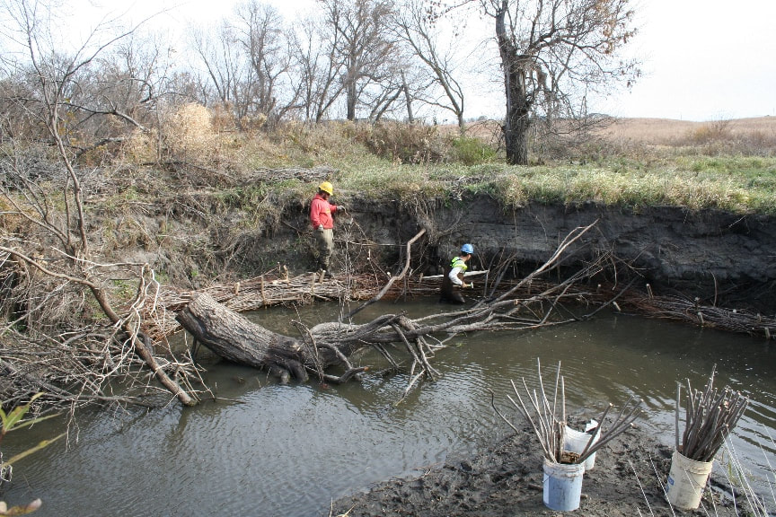 Two people staking out river bank and removing trees 