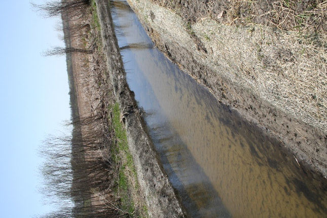 Water flowing through cutoff channel to Kingston Wetland